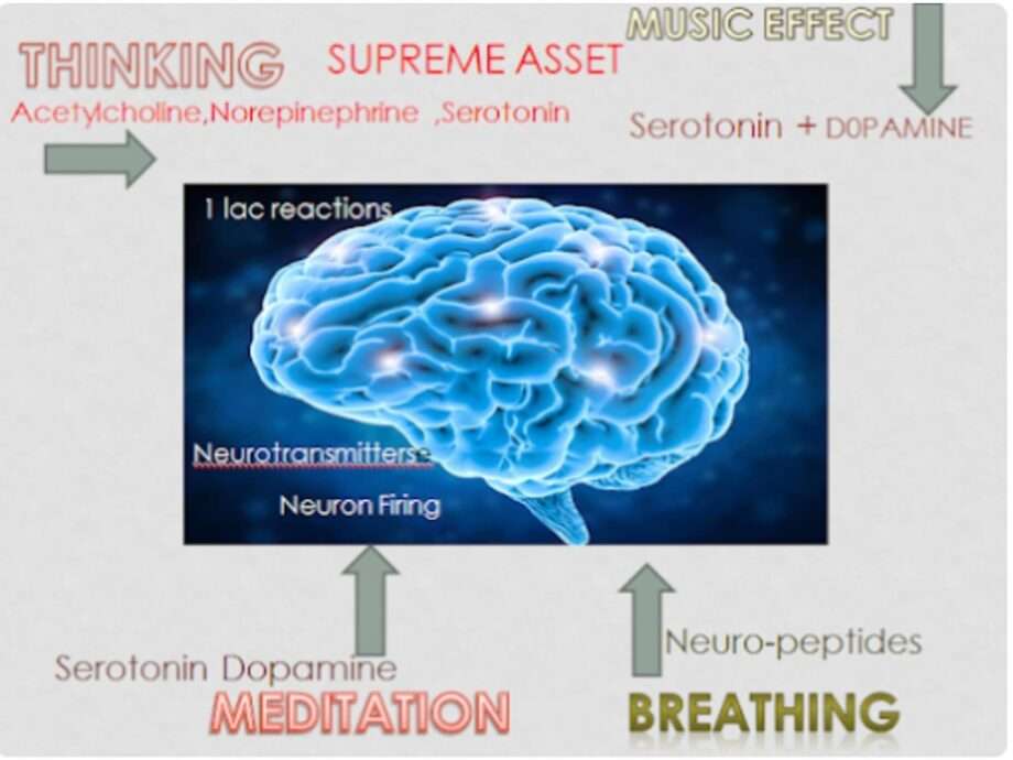 BRAIN YOUR SUPREME ASSET CHANGES MOMENT BY MOMENT